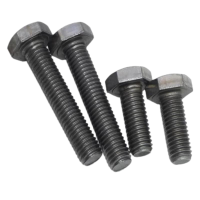 志浪 六角头螺栓12*40 个