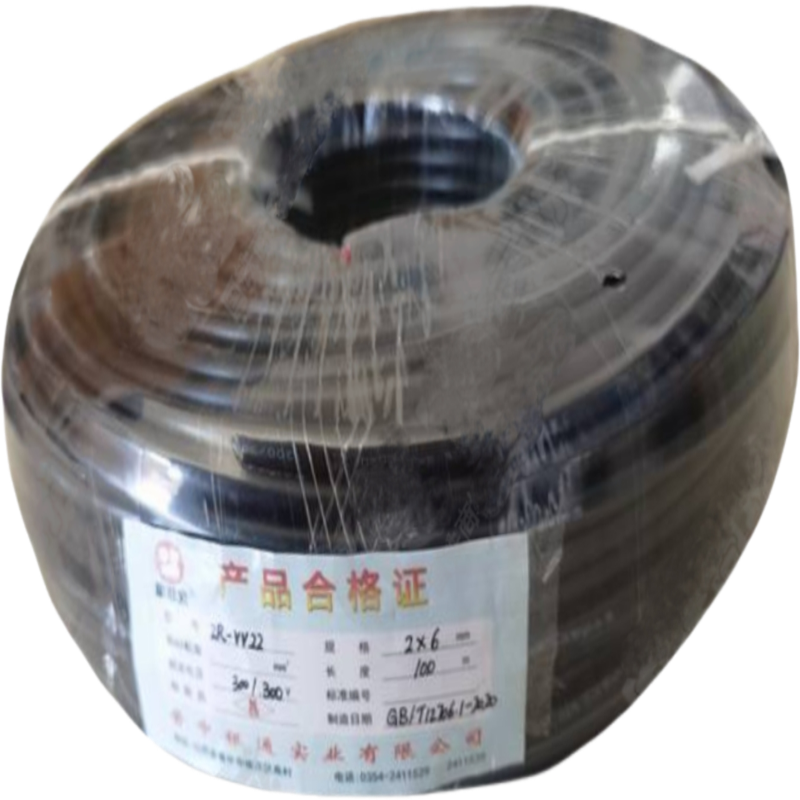 康菲索 阻燃铠装电缆 ZR-VV-22-0.6/1kV- 2*6平方 黑色 100米 盘
