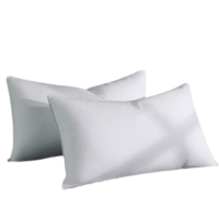 梦丽赛 枕头枕芯48cm×74cm(个)