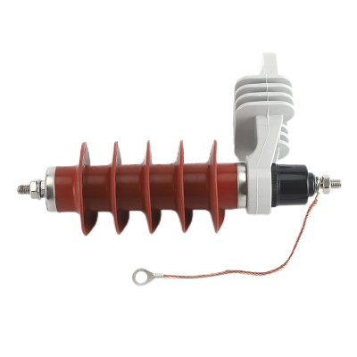 帕尔永固 缠绕式无间隙交流氧化锌避雷器引线 HY5WS-17/50 个