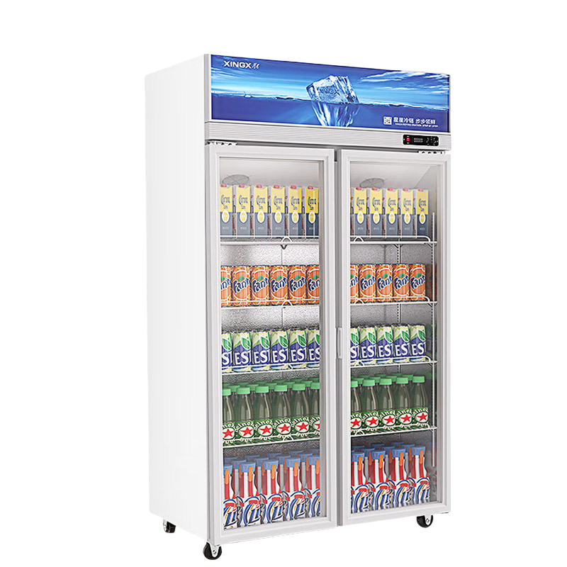 星星(XINGX)LSC-818Y 800升大容量双门冷藏展示柜 商用冰箱保鲜冷藏冰柜 玻璃门立式饮料柜