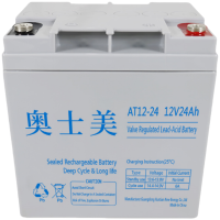 奥士美 阀控式铅酸蓄电池 AT12V-24 只
