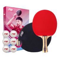 红双喜(DHS)乒乓球拍三四五六星专业级狂飙小学生专用兵乓拍