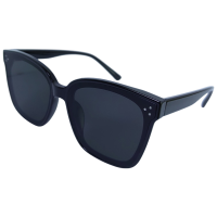 型壳 CENCO 墨镜 15cm 个