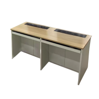 洵晟 电动升降桌 XS-Z147/张