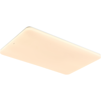 欧普照明超大1.2米客厅灯吸顶灯超大瓦数高亮吸顶灯灯具家用自建房用