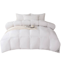 煊煜 80%羽绒被 全棉包布鸭绒被芯 200*230cm条