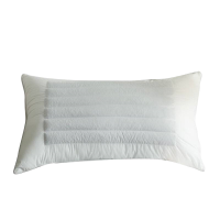 名佳荟萃 荞麦枕 ZX-02 40*60cm 个