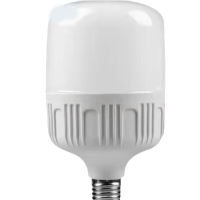 豫·中教能源 LED灯泡 E27 5瓦/个