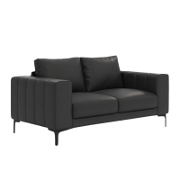 荺炬办公沙发两人位张.