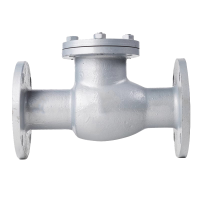 冰城同祥 铸钢止回阀 H44H-16C DN125 台
