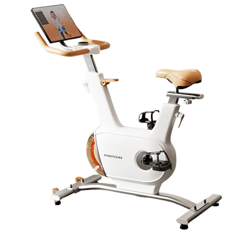 飞尔顿(FEIERDUN)动感单车家用智能室内磁控健身车运动自行车健身减肥器材