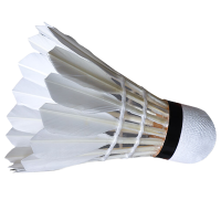 世尔顿(SHIERDUN) 羽毛球 比赛款 桶