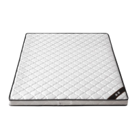 蕃蒂床垫100*200cm张