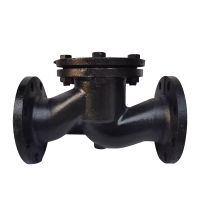 冰城同祥 铸铁止回阀 H41T-16 DN125 台