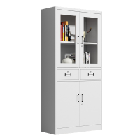 亚太飞鸿-中二斗文件柜资料柜-LF-WJG-0016-个