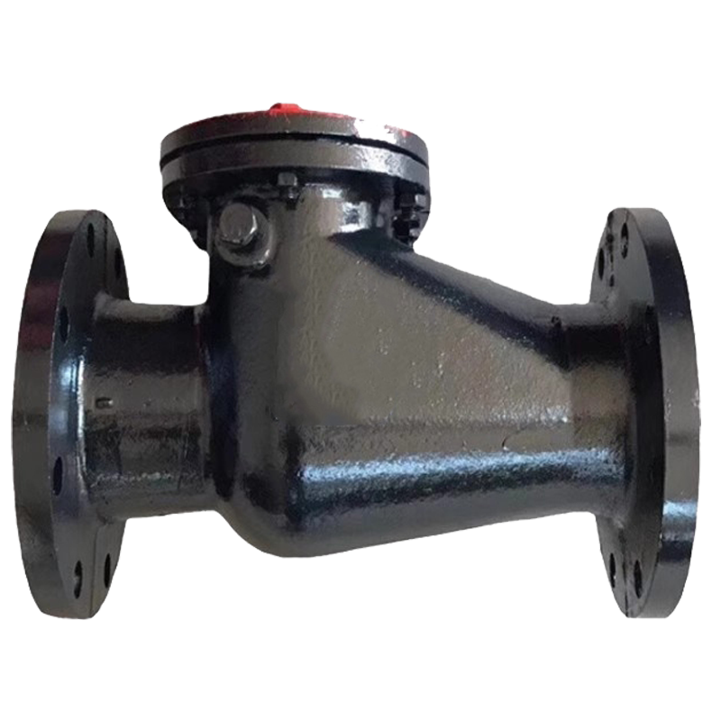 冰城同祥 铸铁止回阀 H44T-16 DN100 台