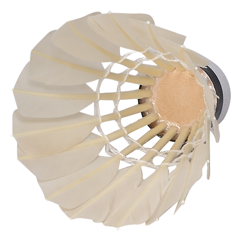 世尔顿(SHIERDUN) 羽毛球 YMQ108 桶