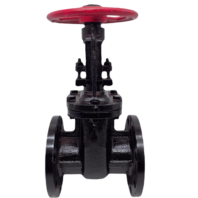 冰城同祥 铸铁闸阀 Z41T-16 DN65 台