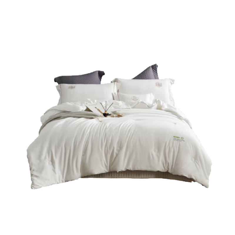 艾逸瑶选 卡莉娜抗菌亲肤冬被JF-24141