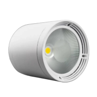 圣恩天泽 筒灯 TSYJ 66W 套