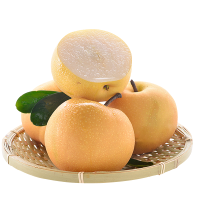 [熊猫鸟]东北正宗冻梨 净重5斤 特大果 单果400-500g 新鲜水果当季香梨整箱青雪酥