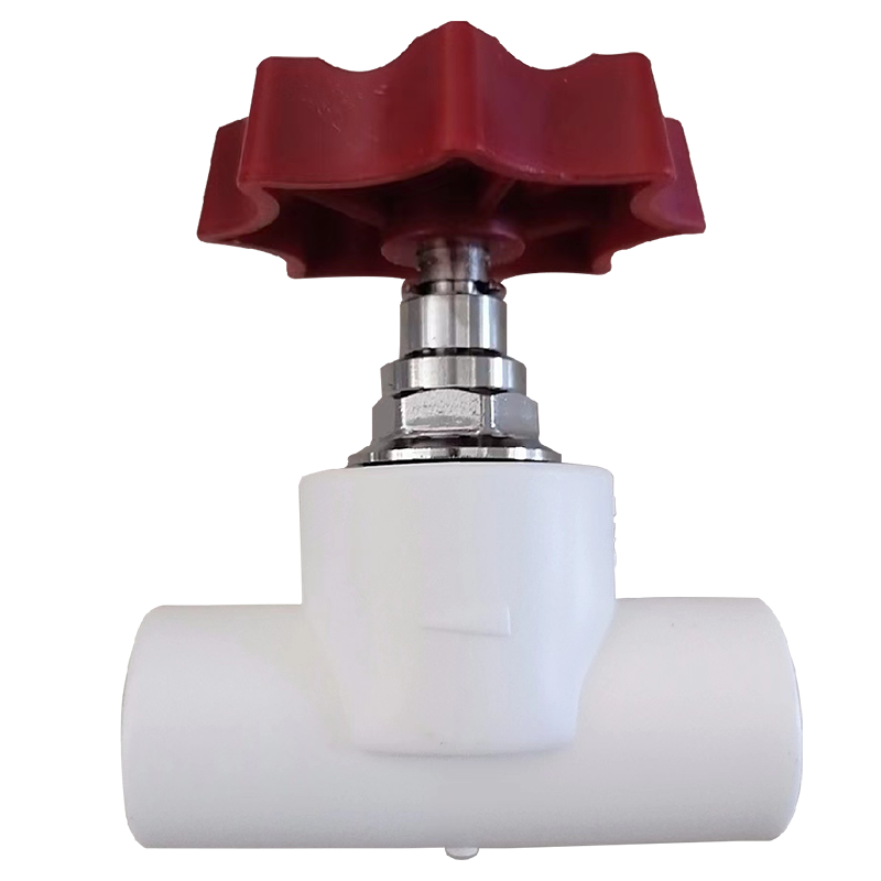 洋蝲蝲 PPR阀门 DN20 单位:个