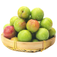 [熊猫鸟]云南三华鸡血李 净重2斤装 大果 单果20g左右 新鲜水果当季酸脆三华珍珠李孕妇整箱、