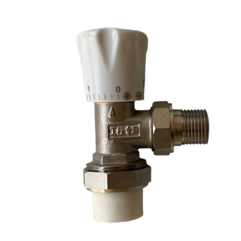 新鑫兴 温控阀 DN15 个