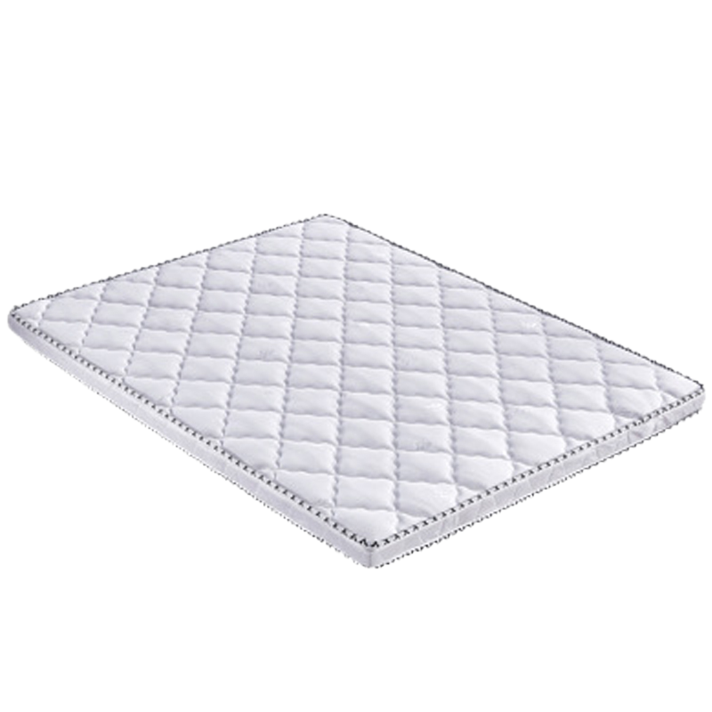 枫翔 环保棕床垫床垫 宿舍床垫2000*1200*80 个