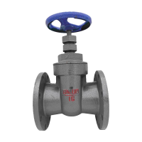 瑞吉君 闸阀 DN125 个