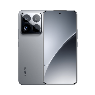 小米15 Pro 12GB+256GB 岩石灰