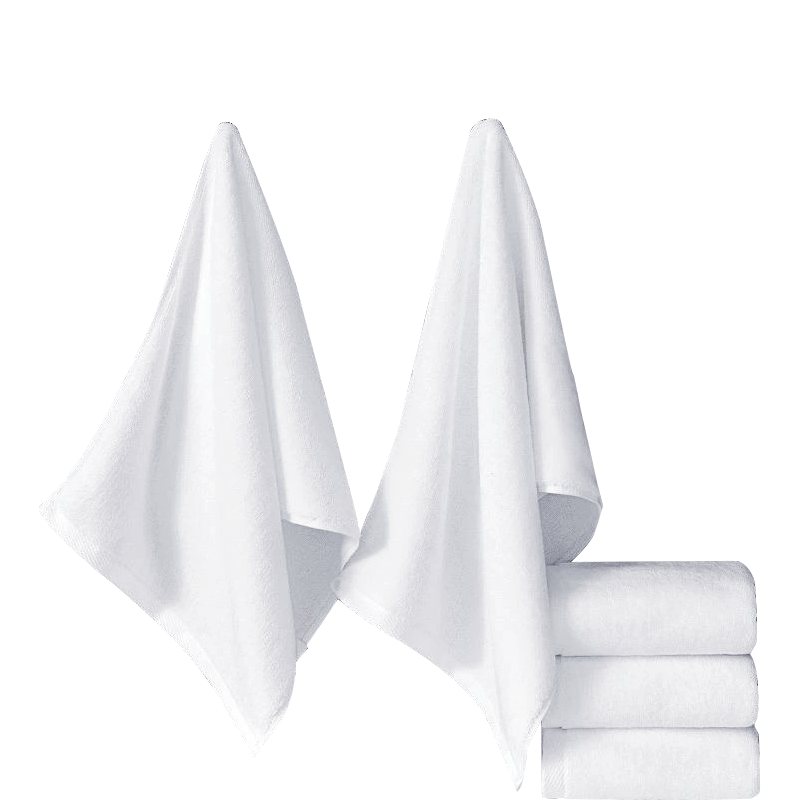 翰骊陆通 加厚纯棉全棉擦试布 白色35cm*75cm 条