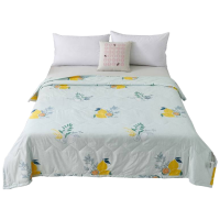 华夏盛锦-生态水洗棉亲肤透气不开线印花夏凉被-晨露佳人 200*230cm/HXSJ-XLB07/条