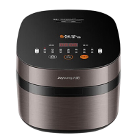 九阳电饭煲4L家用铁釜内胆多功能面板电饭煲F40T-F376