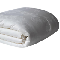 梦丽赛 高端提花贡缎蚕丝被 160cm×210cm(个)