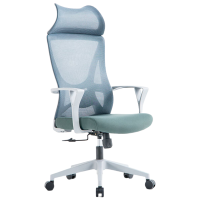 戴劲 办公椅子电脑椅职员培训会议人体工学椅家用书房学习椅电竞椅