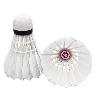 虔羽羽毛球R4 桶