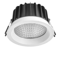 圣恩天泽 LED星光筒灯TSYJ 40W 套