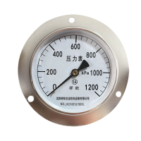 祥屹 压力表轴向带边检测定制型 Y100ZT 块