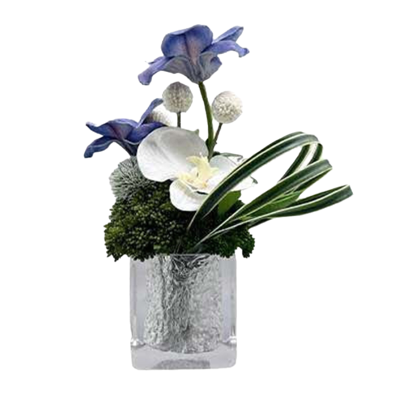 [疆不凡]绿植仿真蝴蝶花zl02个