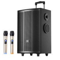 索爱(soaiy)SA-F85大功率9喇叭重低音广场舞家用户外k歌电木吉他乐器音箱蓝牙拉杆便携音箱扩音器 单麦