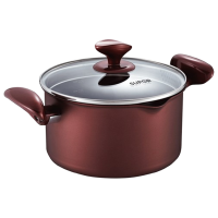 苏泊尔汤锅22cm绚溢不粘汤锅304不锈钢多功能锅PT22K1