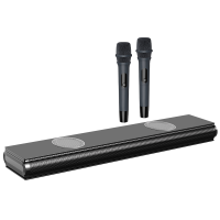 纽曼(Newsmy)回音壁AK-600 PRO