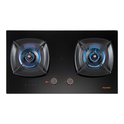 Haotaitai燃气灶JZY-H110液化气4.8kW防干烧定时安全灶双灶防干烧+左灶定时智能烹饪烟灶联动