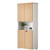 烁恒 档案柜带锁两门 个