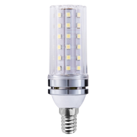 韬鹏 灯泡 12W 个