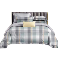 亚博娜 全棉三件套 SJ-T16 160*210cm 套