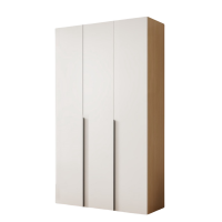 蕃蒂衣柜三门台