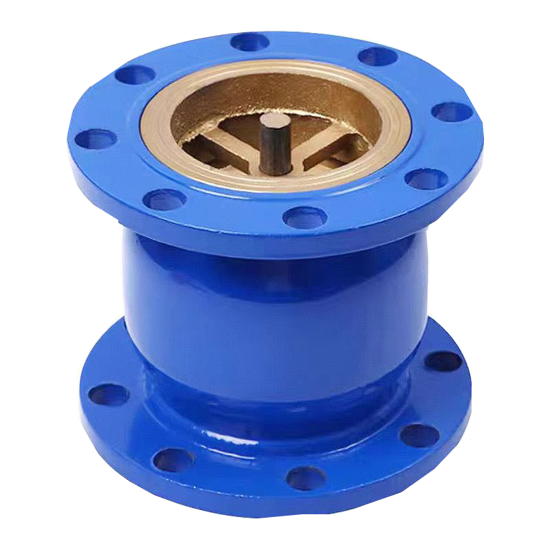 盛京联硕 法兰消声止回阀 HC41X-16C DN300 台